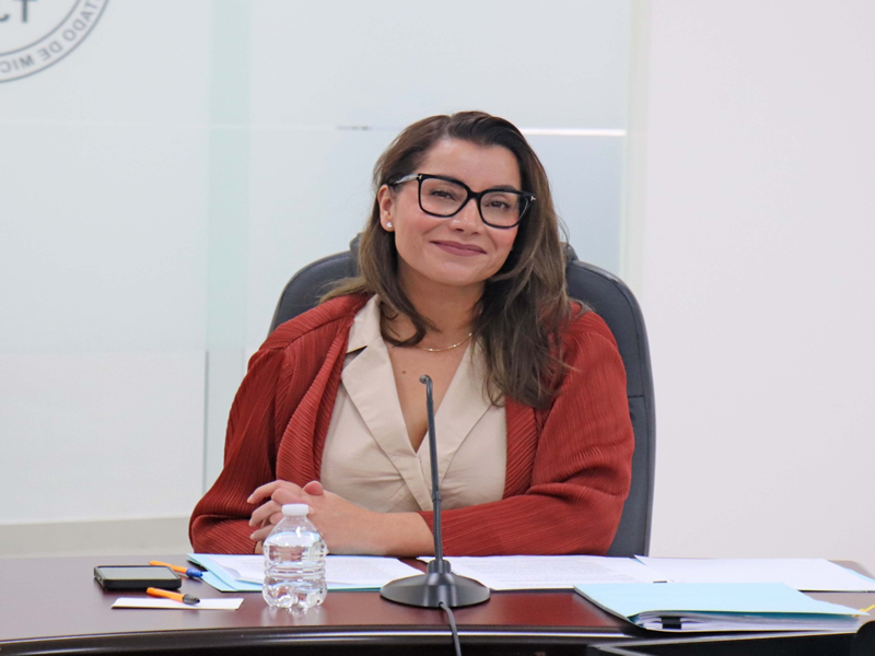 Designa Tribunal presidente sustituto y titulares de Comisiones